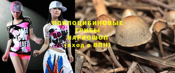 дживик Балабаново